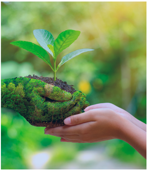 Environmental Assessment & Management